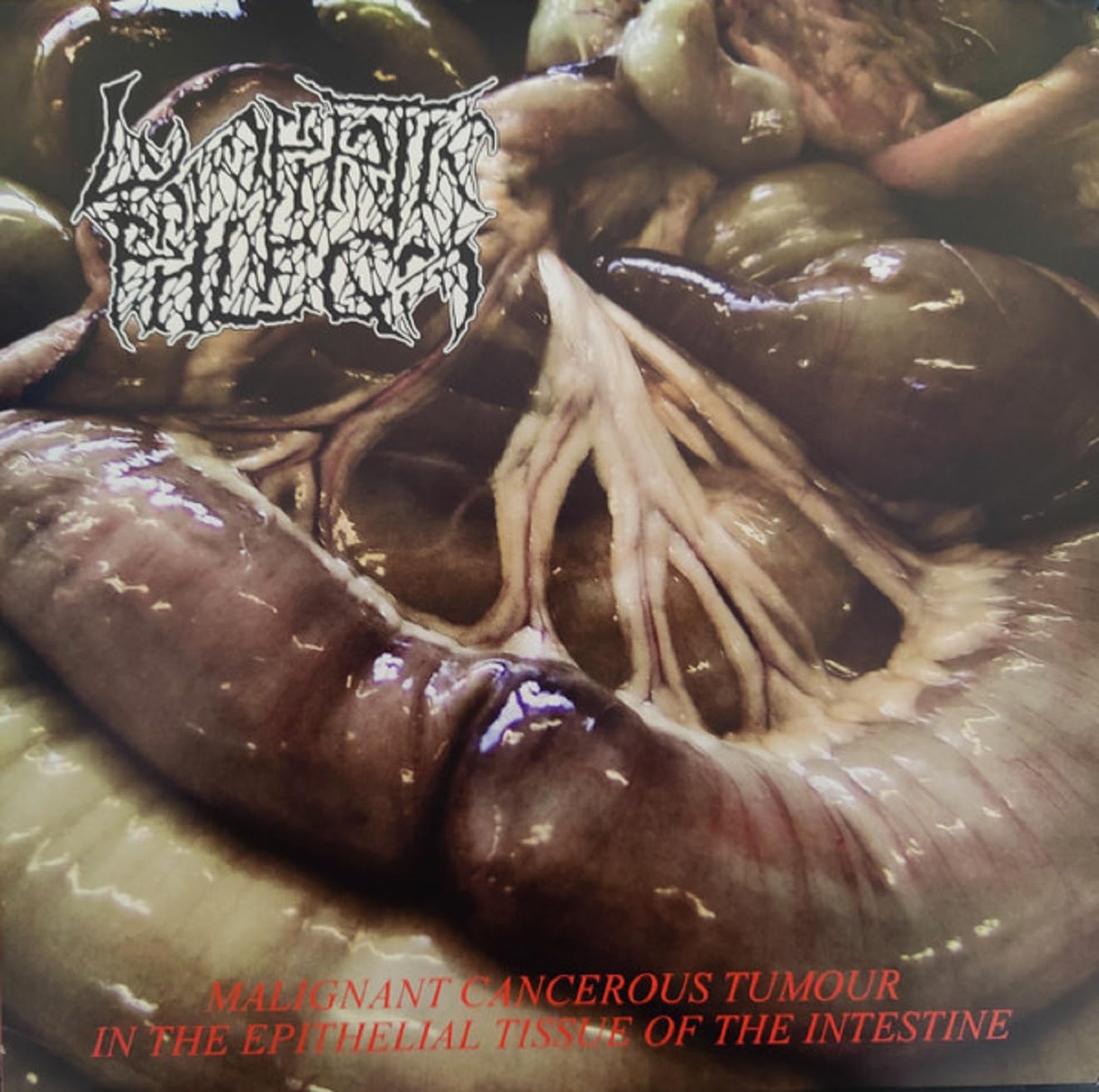 ゴアグライン〇LYMPHATIC PHLEGM 02年4-Way Split 71BEPyyzskL.jpg