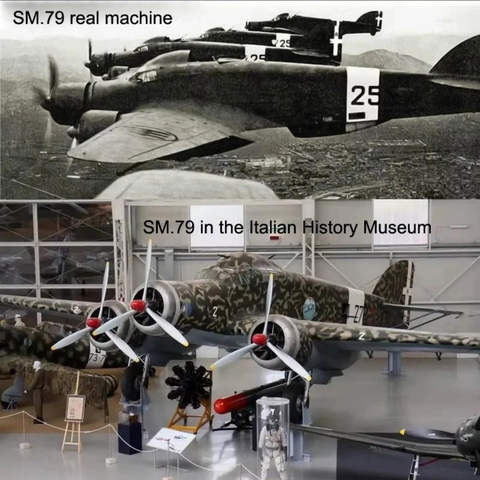 DAGIJIRD Modelo de avión de aleación de simulación 1:144 aleación WWII Italia SM.79 Sparviero modelo bombardero