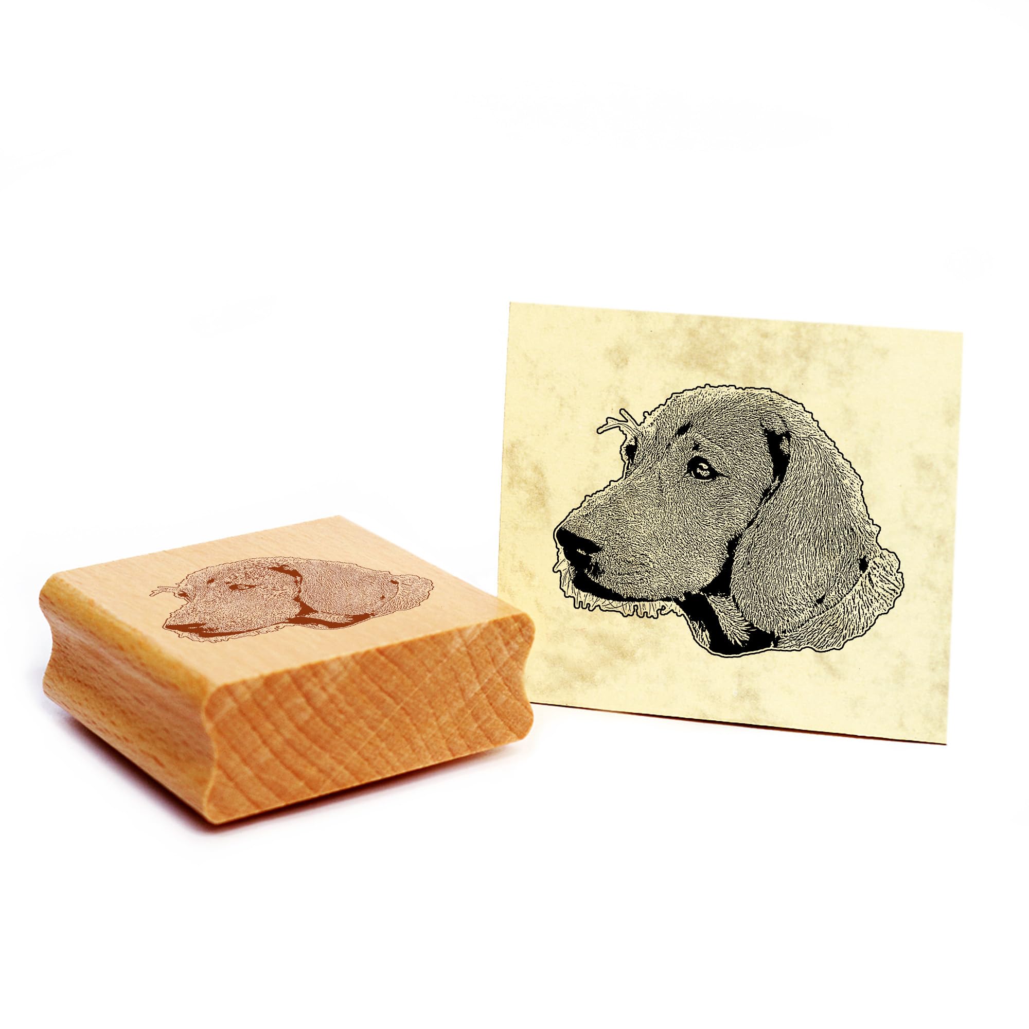 Dekolando German Bracke Rubber Stamp Dog Wooden Stamp 48 x 39 mm