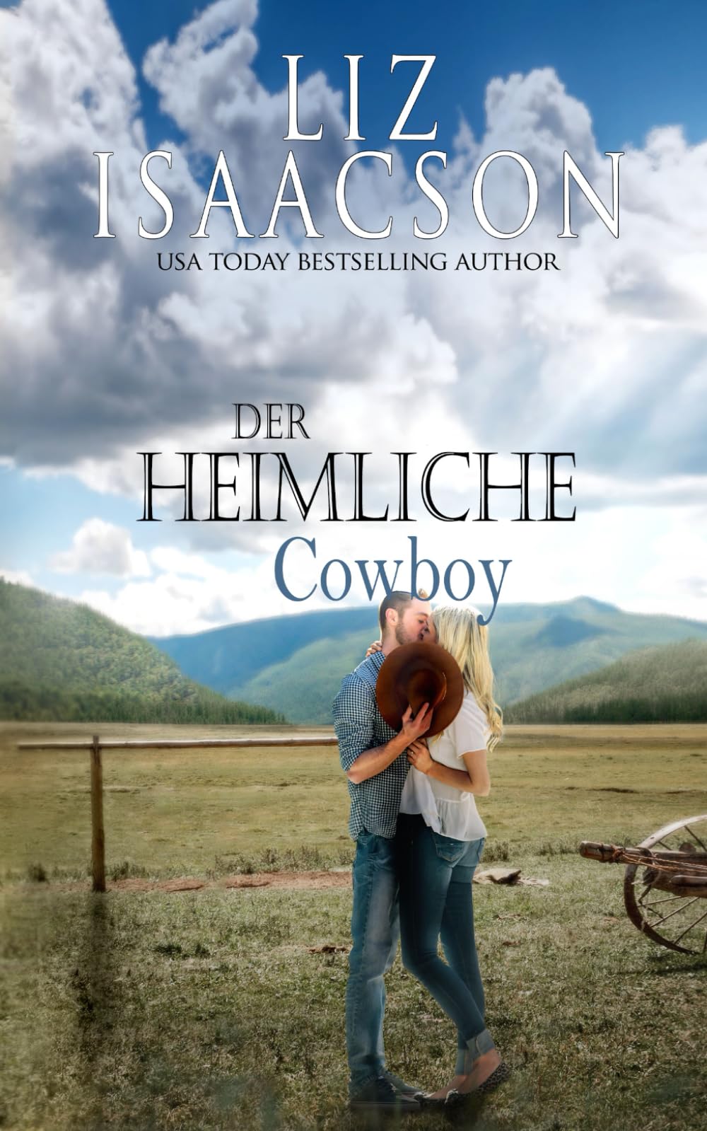 Der heimliche Cowboy: Ein Cowboy-Roman (Liebe auf der Quinn Valley Ranch)