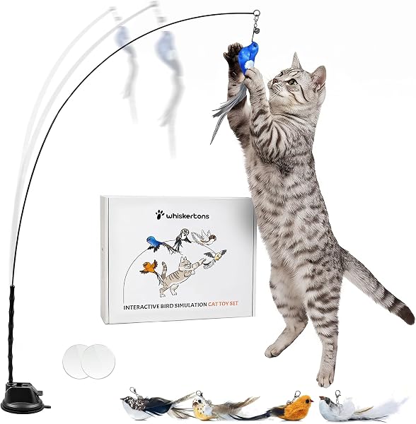 Whiskertons Interactive Bird Simulation Cat Toy Set, Interactive Cat Toys for Indoor Cats, Cat Feather Toy, Self-Holding