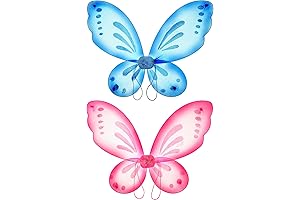 Enchanted Transparent Fairy Wings for Kids