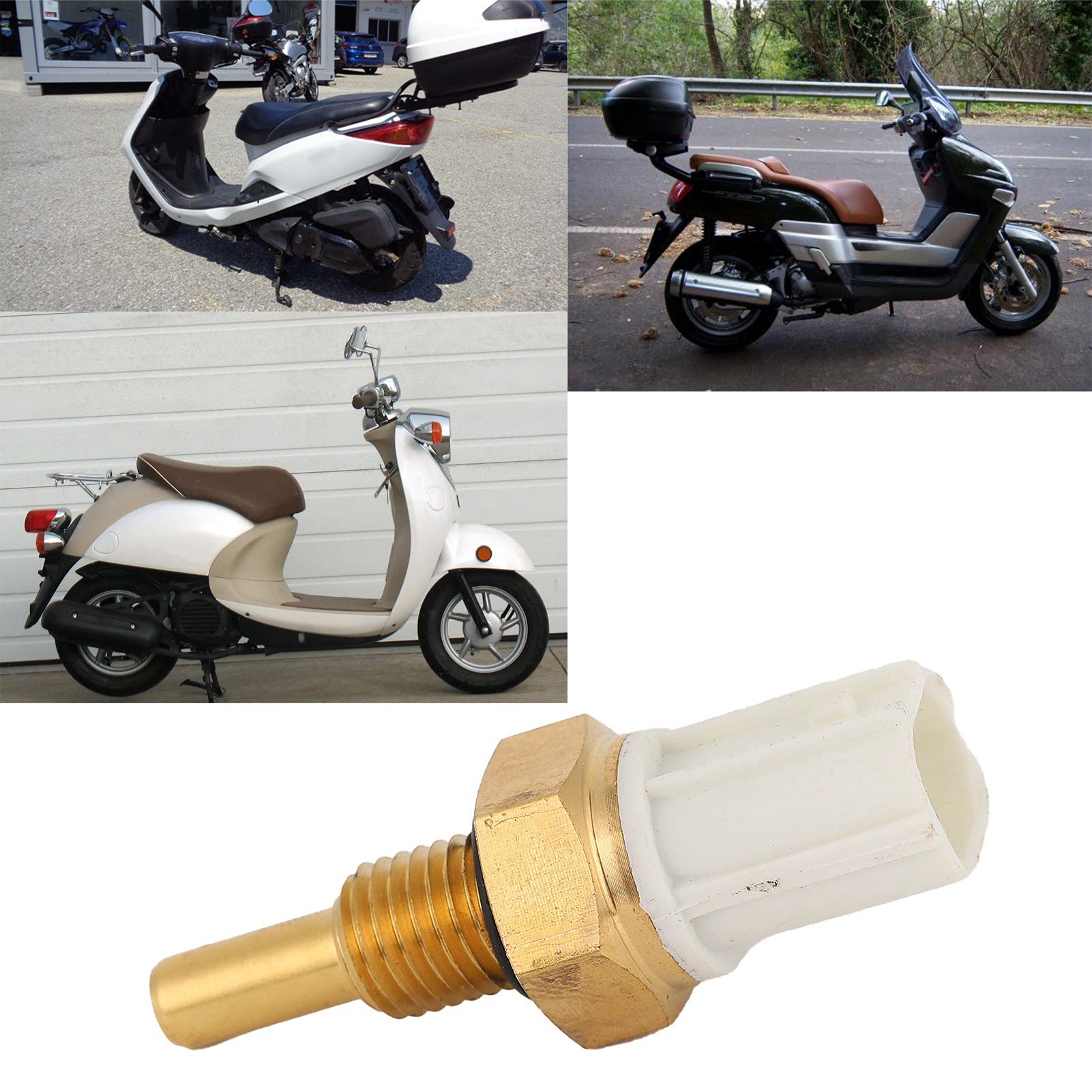 Amazon | 水温センサー、信頼性の高い水温サーモセンサー ABS 耐久性の