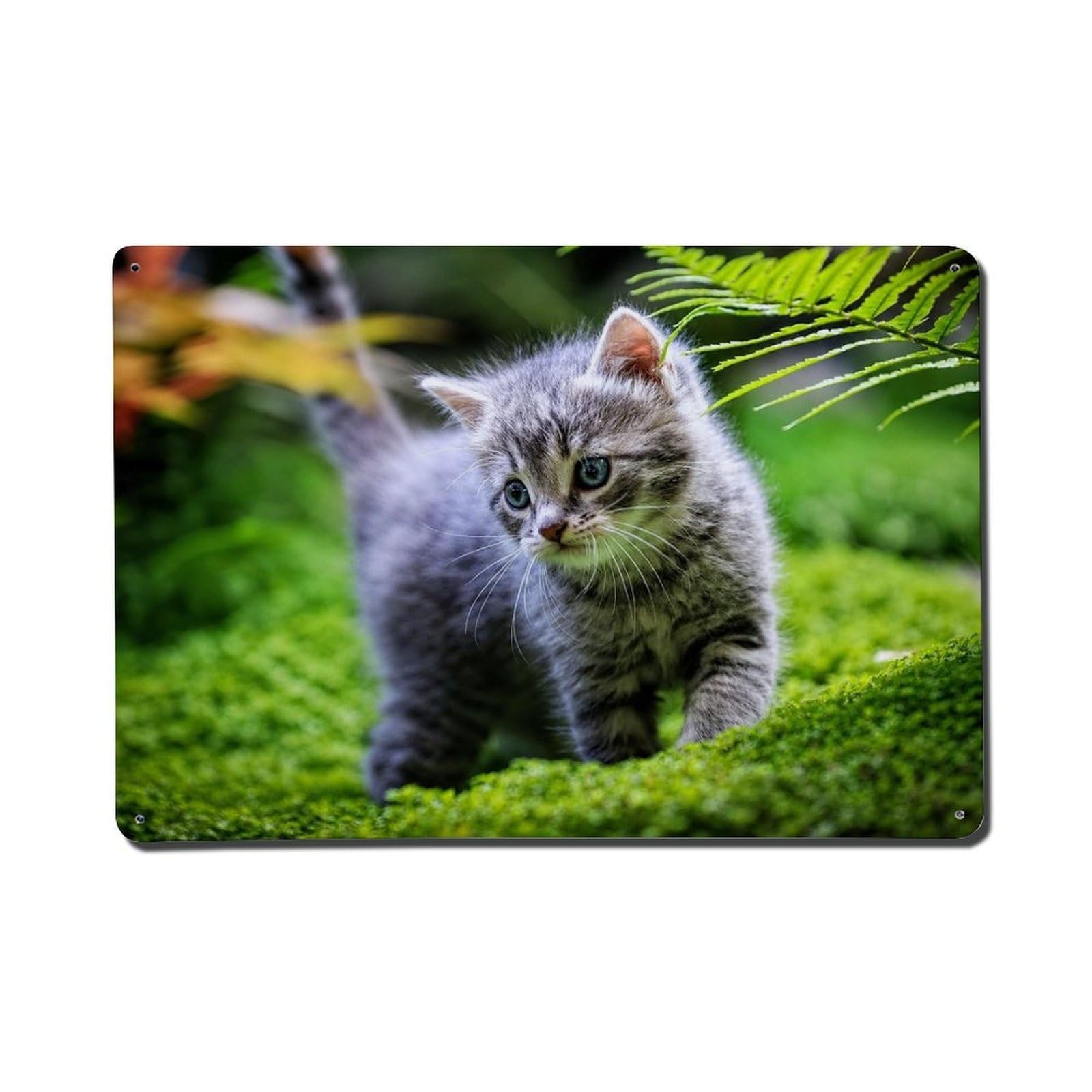 Whimsical Pet Wildlife Vintage Blue Eyes Gray Tabby Kitten Metal Tin Sign Plaque Wall Decor for Cafe, Man Cave, Club Bar, Office, Home Garden Round Metal Poster 8x12Inch