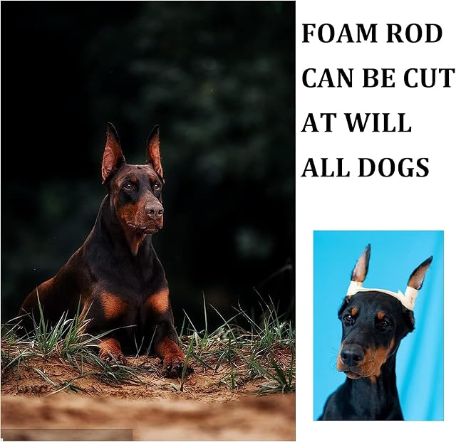 Foto 8 de 8 de Pacify Doberman - Kit de fijación de Orejas de Perro, Herramienta de Soporte para Orejas de Perro con Cinta…