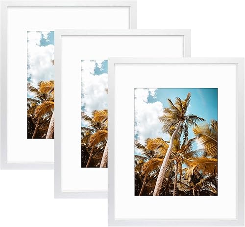 Vista 314 de Frametory, Portarretratos negro de 16 x 20 pulgadas, para fotos de 11 x 14 pulgadas con paspartú, molduras anchas (16 x 20 pulgadas, negro)