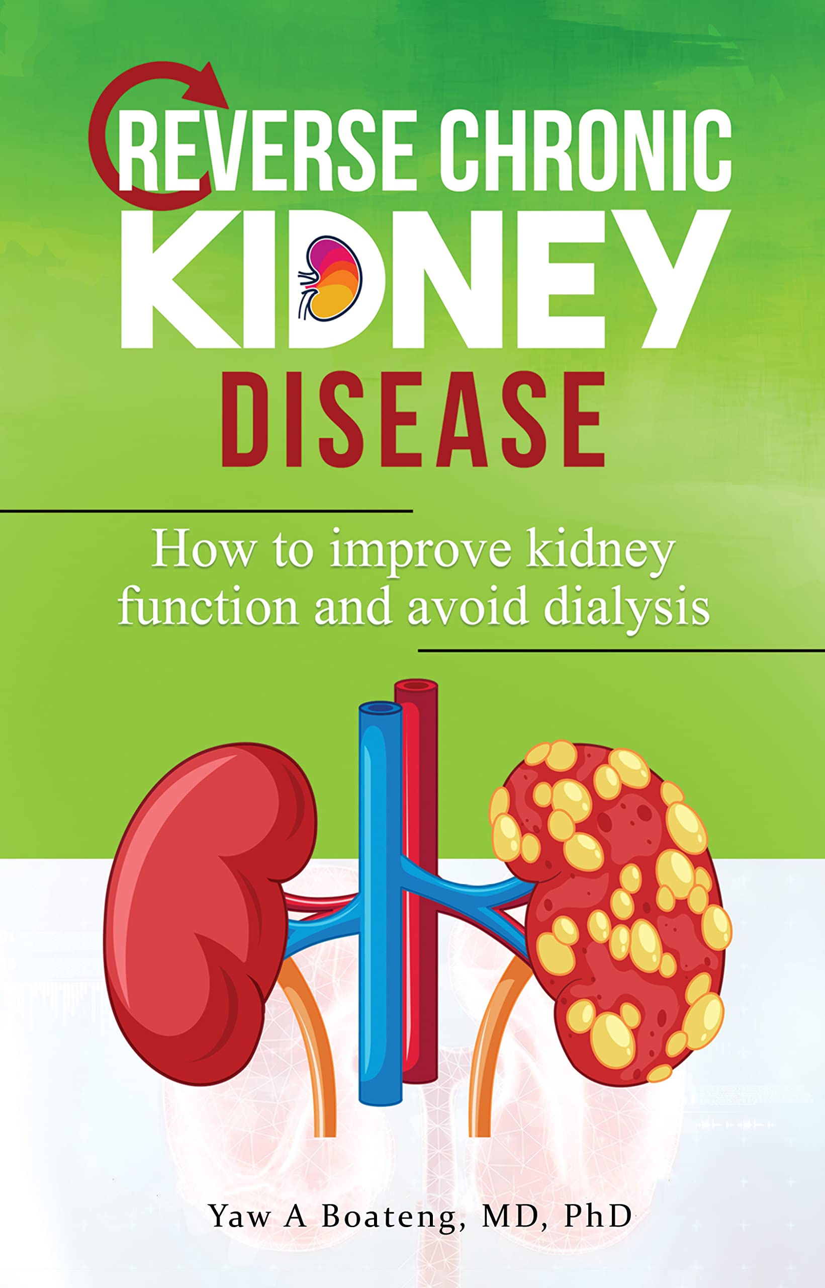 Reverse Chronic Kidney Disease: How To Improve Kidney Function And Avoid Dialysis