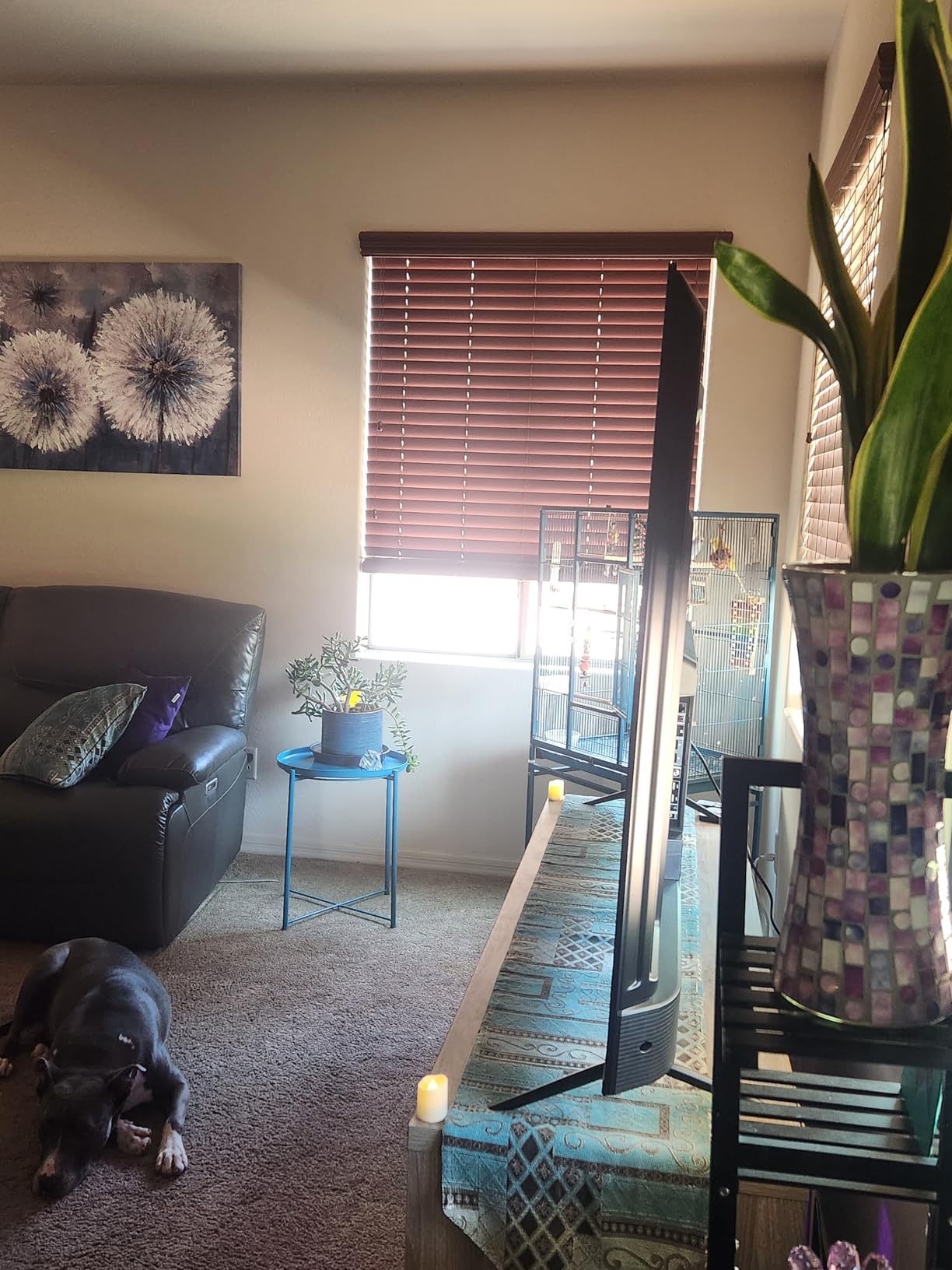 Customer Image