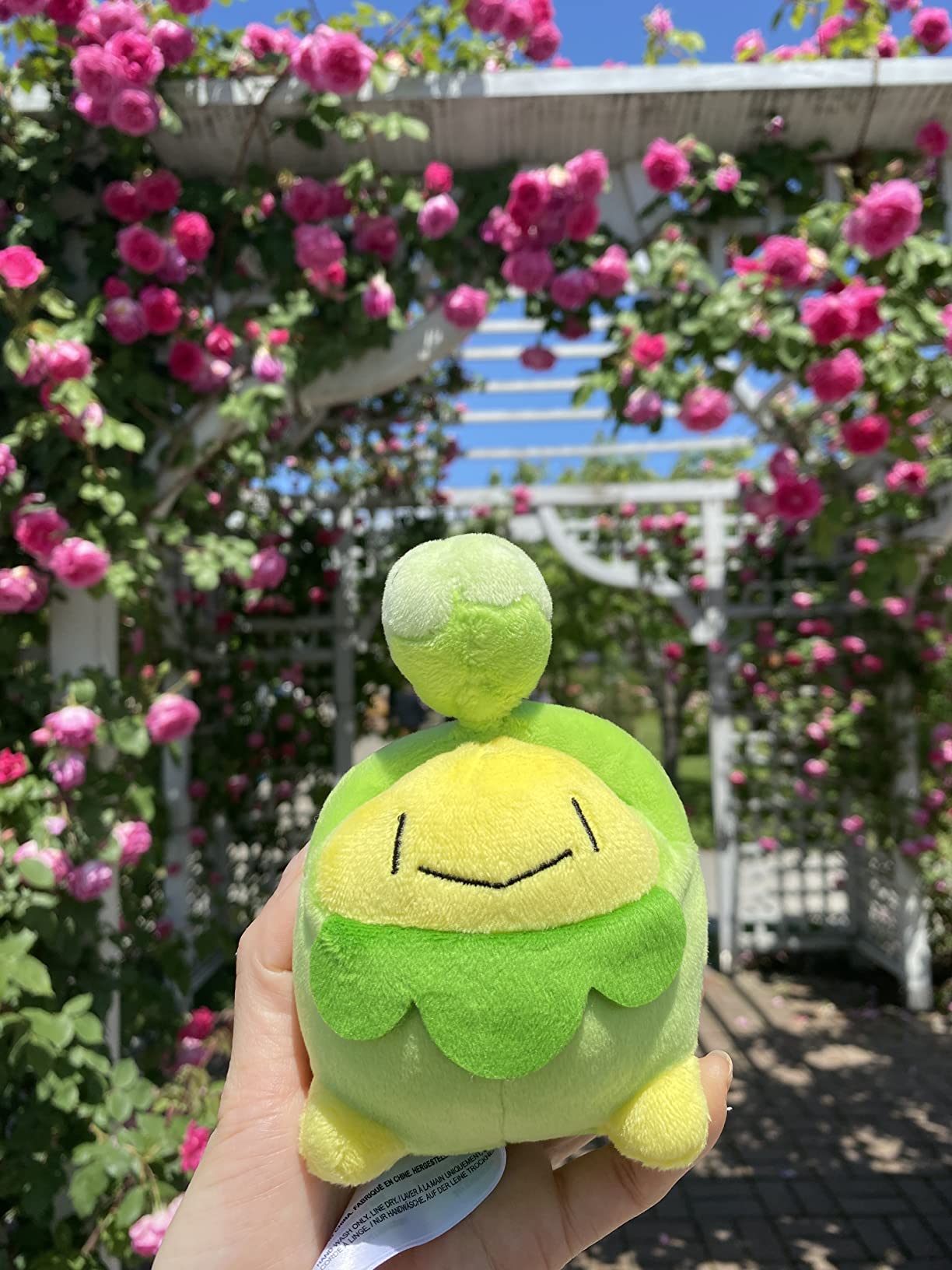 お客様イメージ