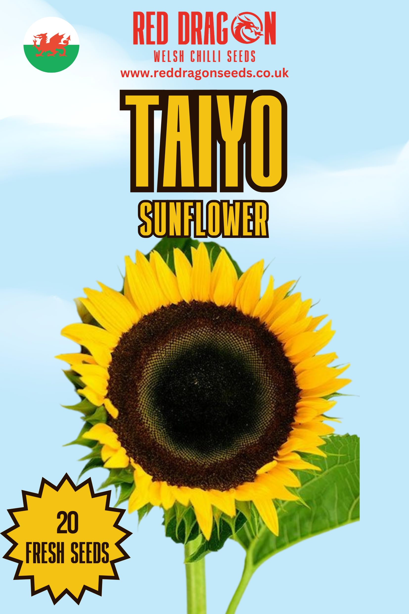 Sunflower Seeds. (Taiyo Sunflower) โ image 1