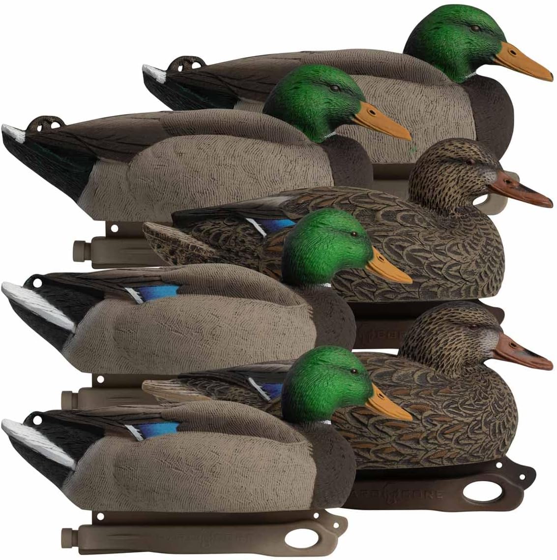 Hardcore Waterfowl Rugged Series Standard Mallard Decoys - 6 Pack - 3 Drakes and 3 Hens