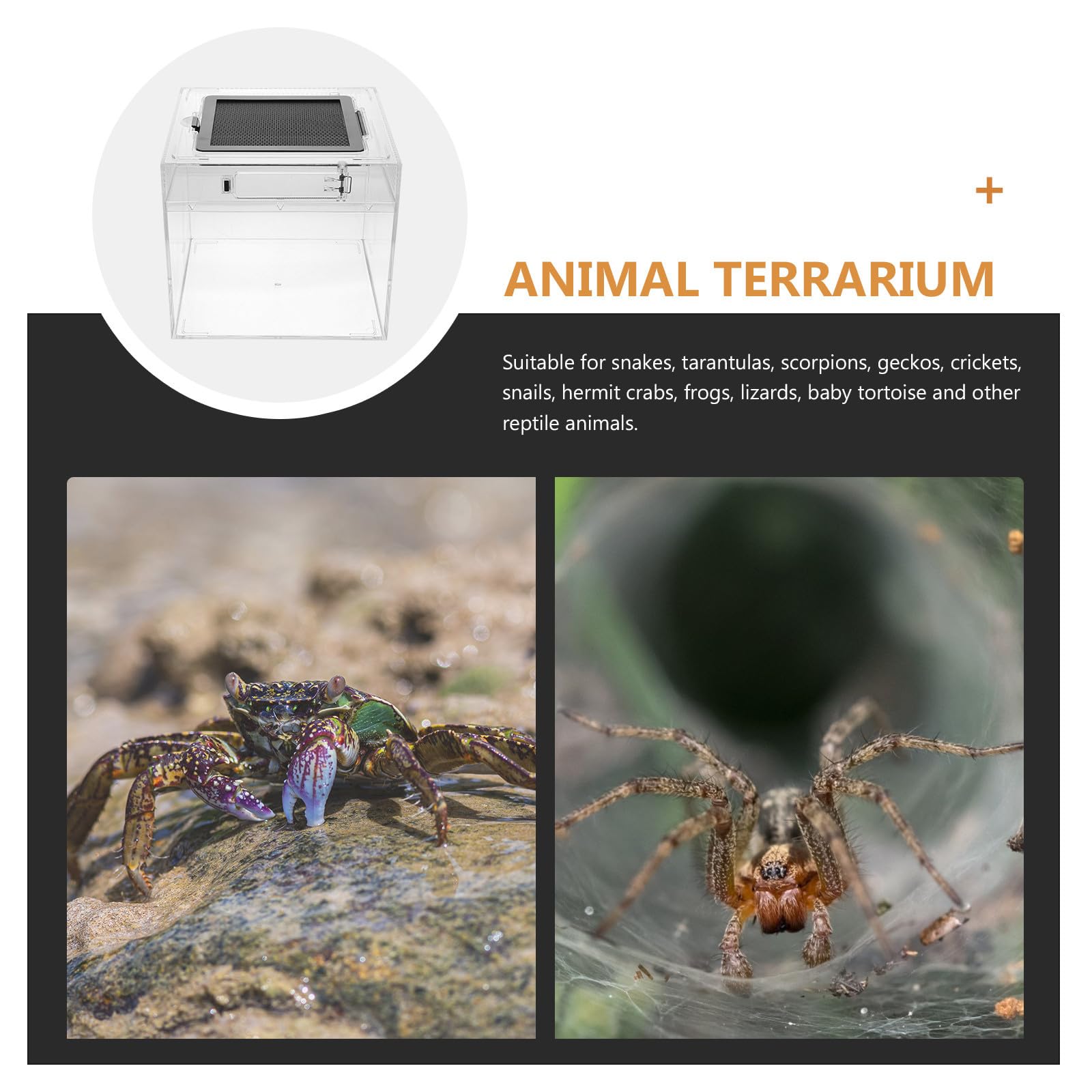 Terrario per Rettili in PC Leggero Sistema di Ventilazione per Tartarughe e Ragni, Contenitore per Allevamento da Esterno Resistente e Pratico