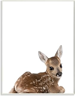 Stupell Home DÃ©cor Baby Fawn Studio Photo Wall Plaque Art, 10 x 0.5 x 15, Proudly Made in USA