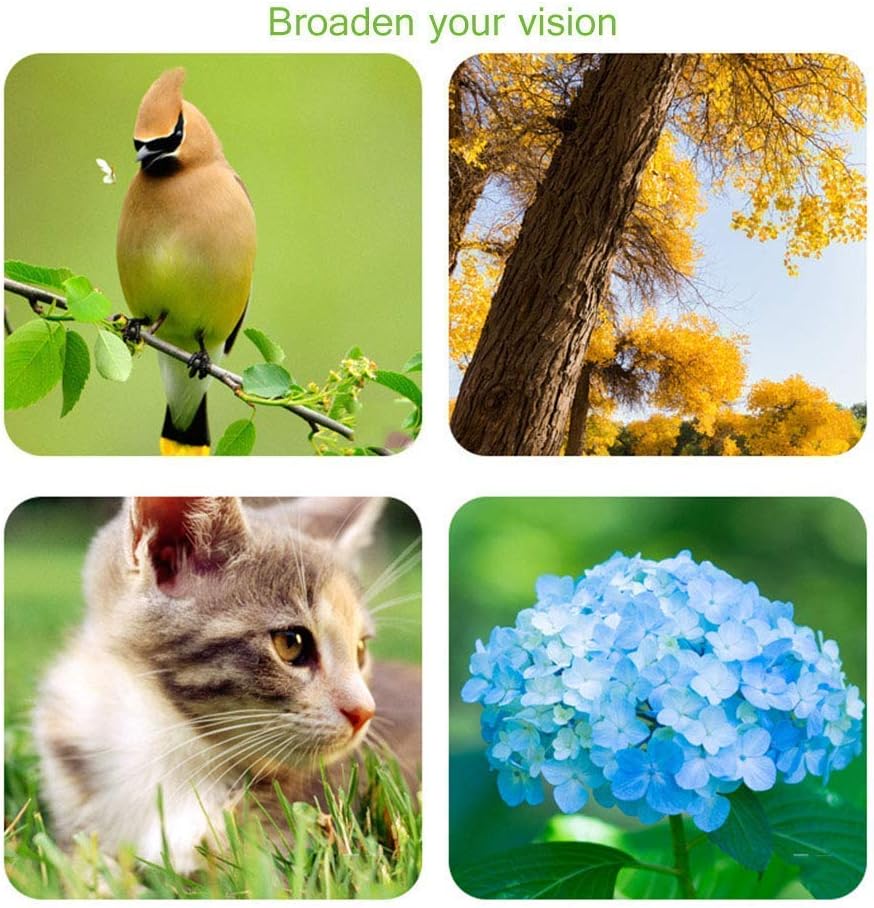 Practical Telescope Practical Telescope Telescopes for Astronomy Compact Practical Telescope Telescope Refractor for Ch