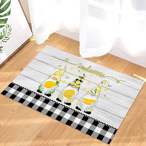 Felpudo para interiores, tapete de bienvenida, 20 x 32 pulgadas, antideslizante, absorbente, lavable, alfombra de entrada para puerta, cocina, baño,