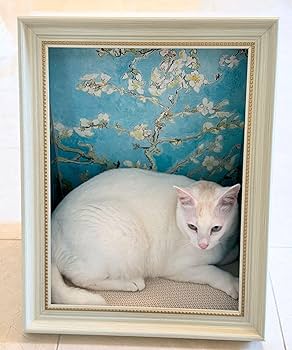Amazon | [ONEKOSAMA]爪とぎ ダンボールハウス 猫 額縁 絵画風