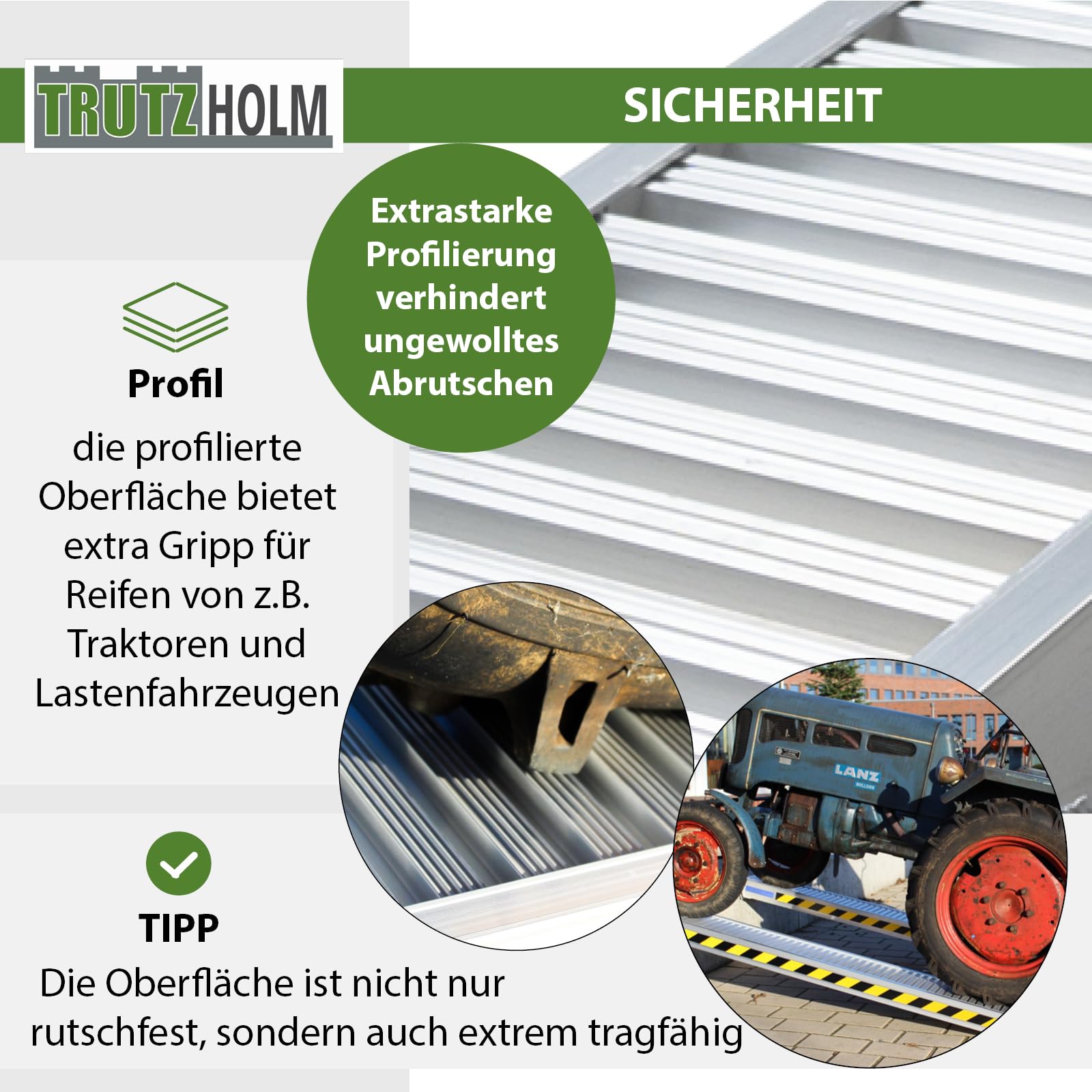 TRUTZHOLM 1 x Profi Schwerlastrampe 265cm Traglast 1650 kg Alu 35 cm Breite grau Auffahrrampe Verladerampen