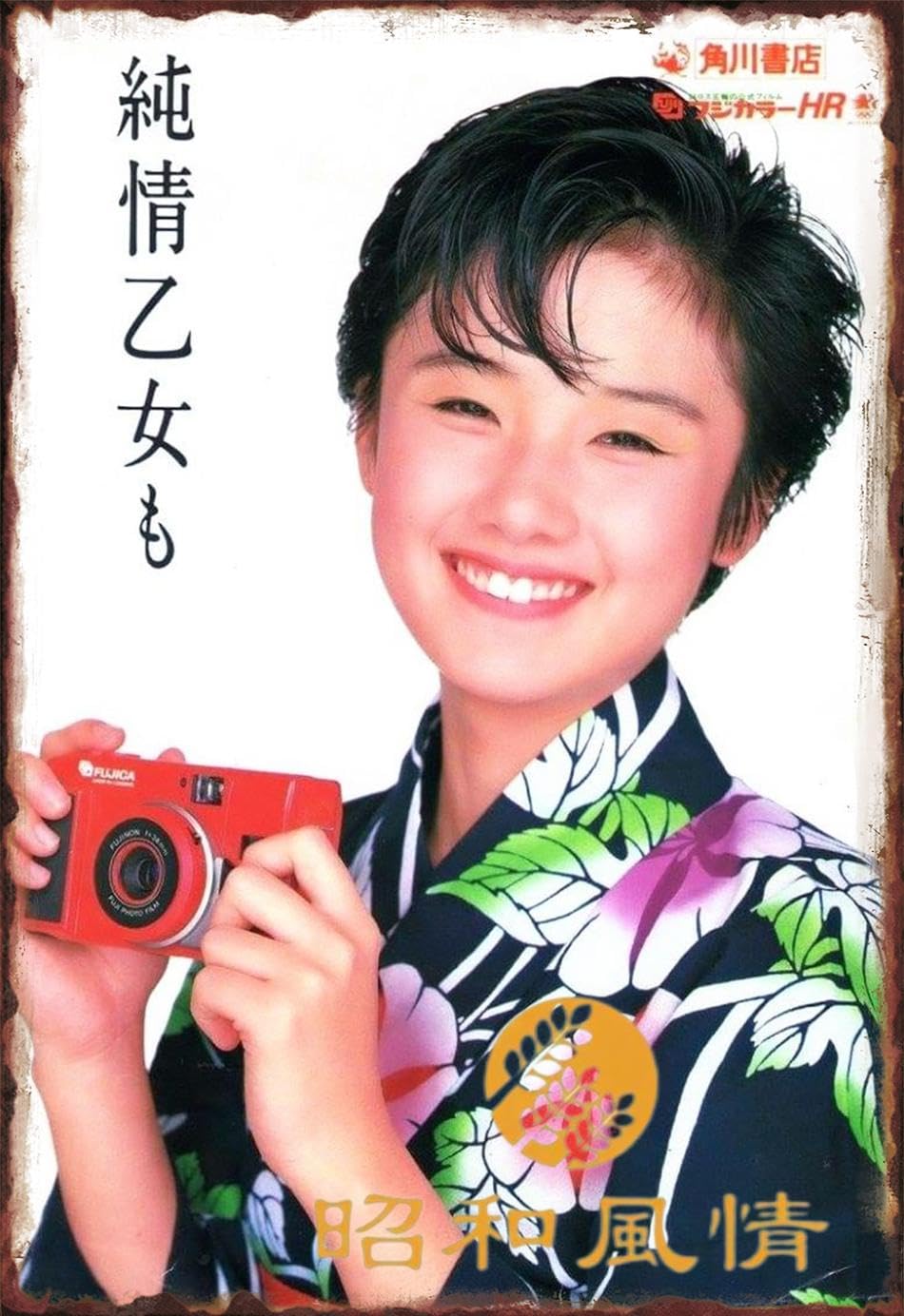 Amazon.co.jp: 【昭和の風情】原田知世 昭和レトロ ブリキ看板