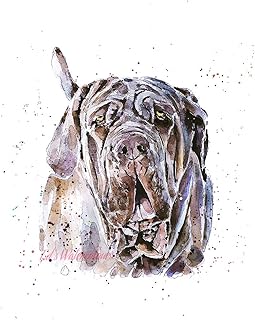 Neapolitan Mastiff Up Close - Print Watercolour, Neapolitan Mastiff art, Neapolitan Mastiff print, Neapolitan Mastiff print, Neapolitan Mastiff Wall décor, Neapolitan Mastiff Watercolour Print