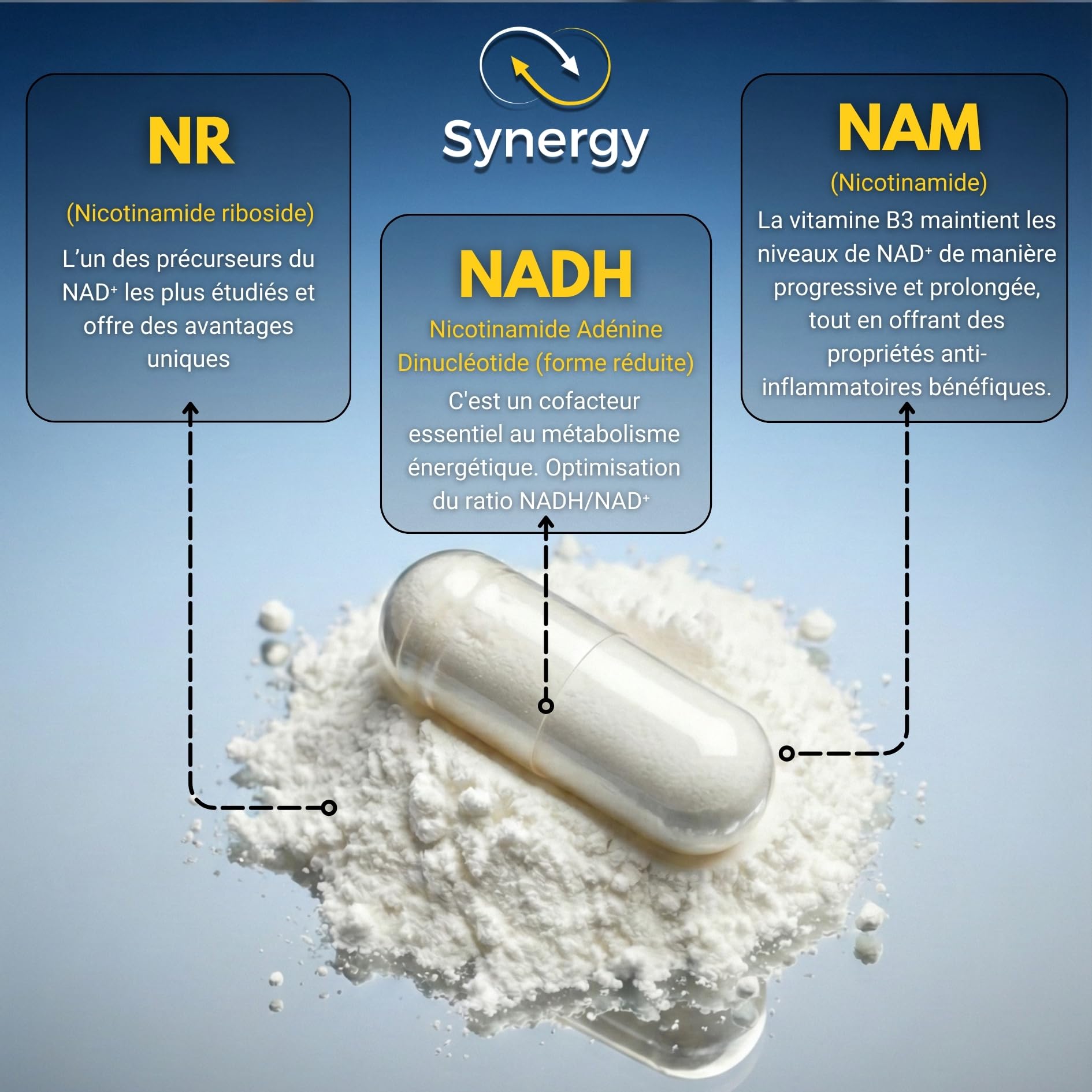 NAD+ ✗ NR + NADH + Vitamin B3 ✗ Nicotinamide Riboside Chloride ✗Anti-Âge ✗ Energie ✗ Action synergétique rapide et prolongée ✗ Gélule végétale et gastro resistante ✗ Fabriqué en France