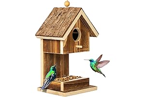 Bird House and Feeder Combo for Hummingbirds, Cardinals, Wrens, Bluebirds, and Other Wild Birds