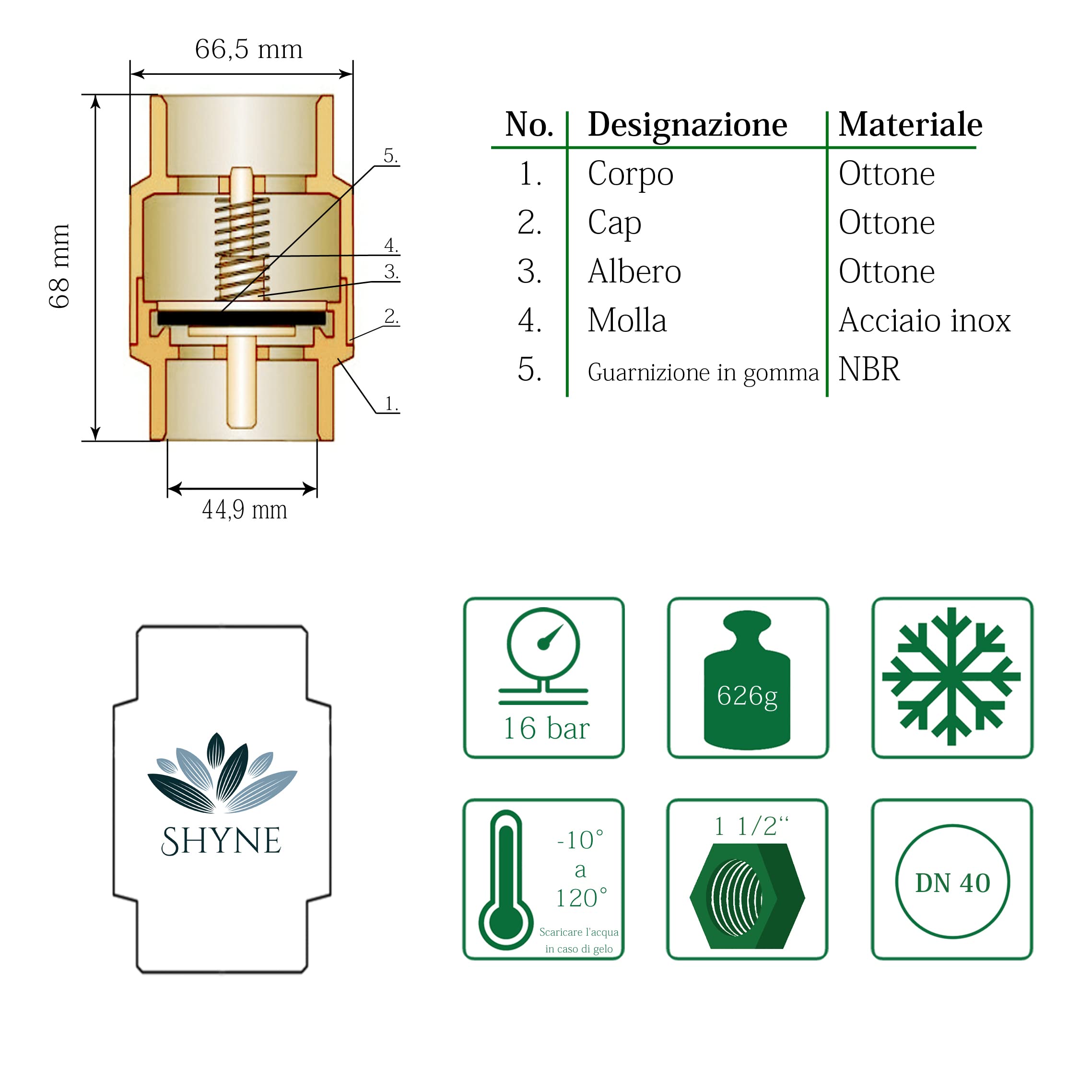 SHYNE Premium 1 1/2 pollici (3/2'') valvola di non ritorno in ottone di alta qualità robusto, antiruggine e impermeabile per pompa, fontana, lavatrice, giardino, acqua piovana, botte (2 pz)