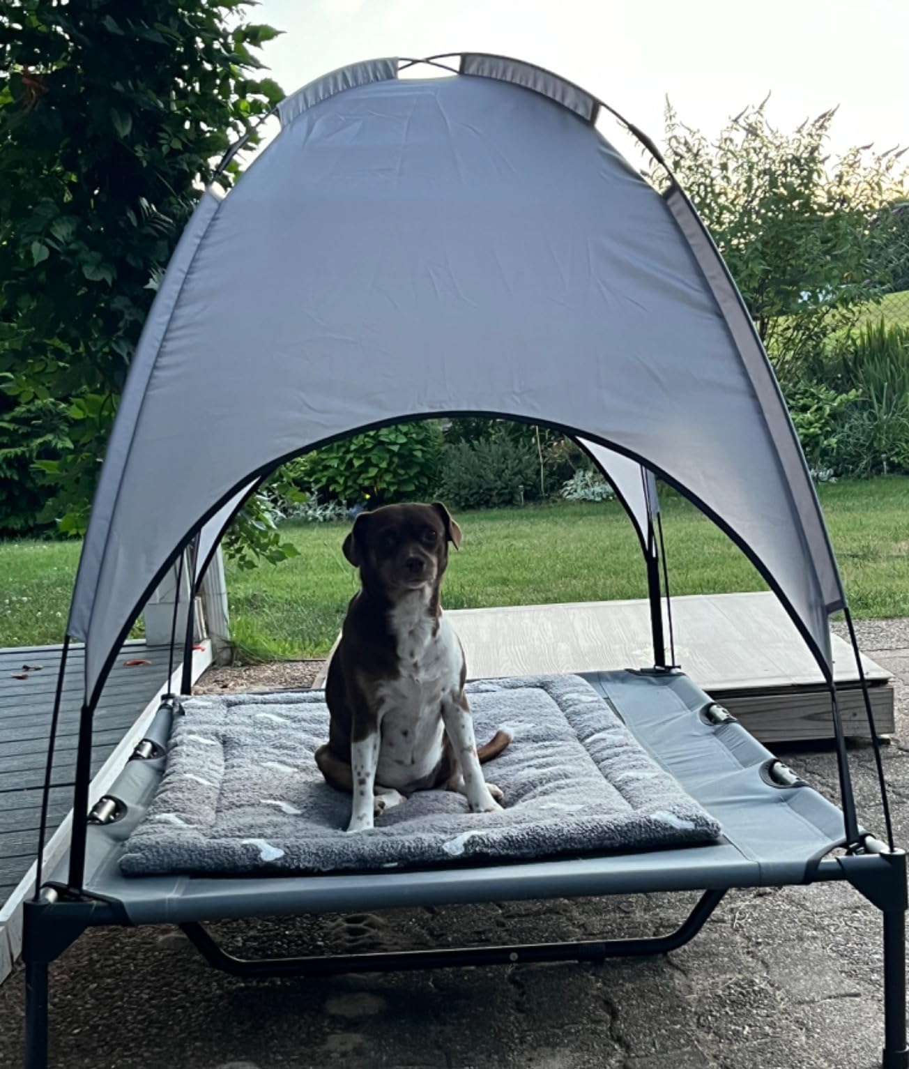 PupHut Outdoor Raised Dog Bed – XL Size Lounger with Shade Canopy