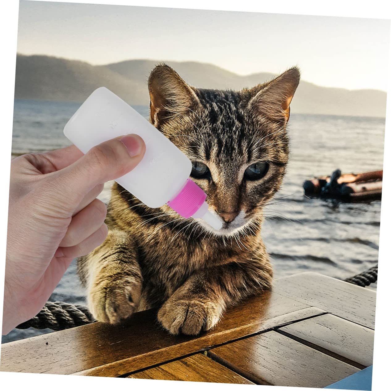 Happyyami 2Sets Newborn Cat Milk Bottles Portable Kitten Nursing Feeder Lightweight Pet Nurser for Puppies Kittens and Animals Easy Control Feeding Tool