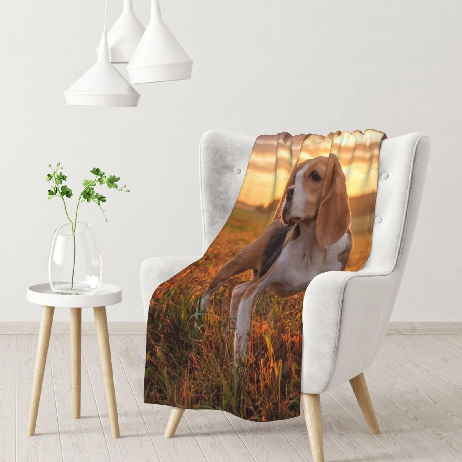 Gawuoab Black Beagle Lawn Dogs On A Walk Pets Dogs Sunset Soft Cozy Blankets Throw Flannel Blanket For Couch