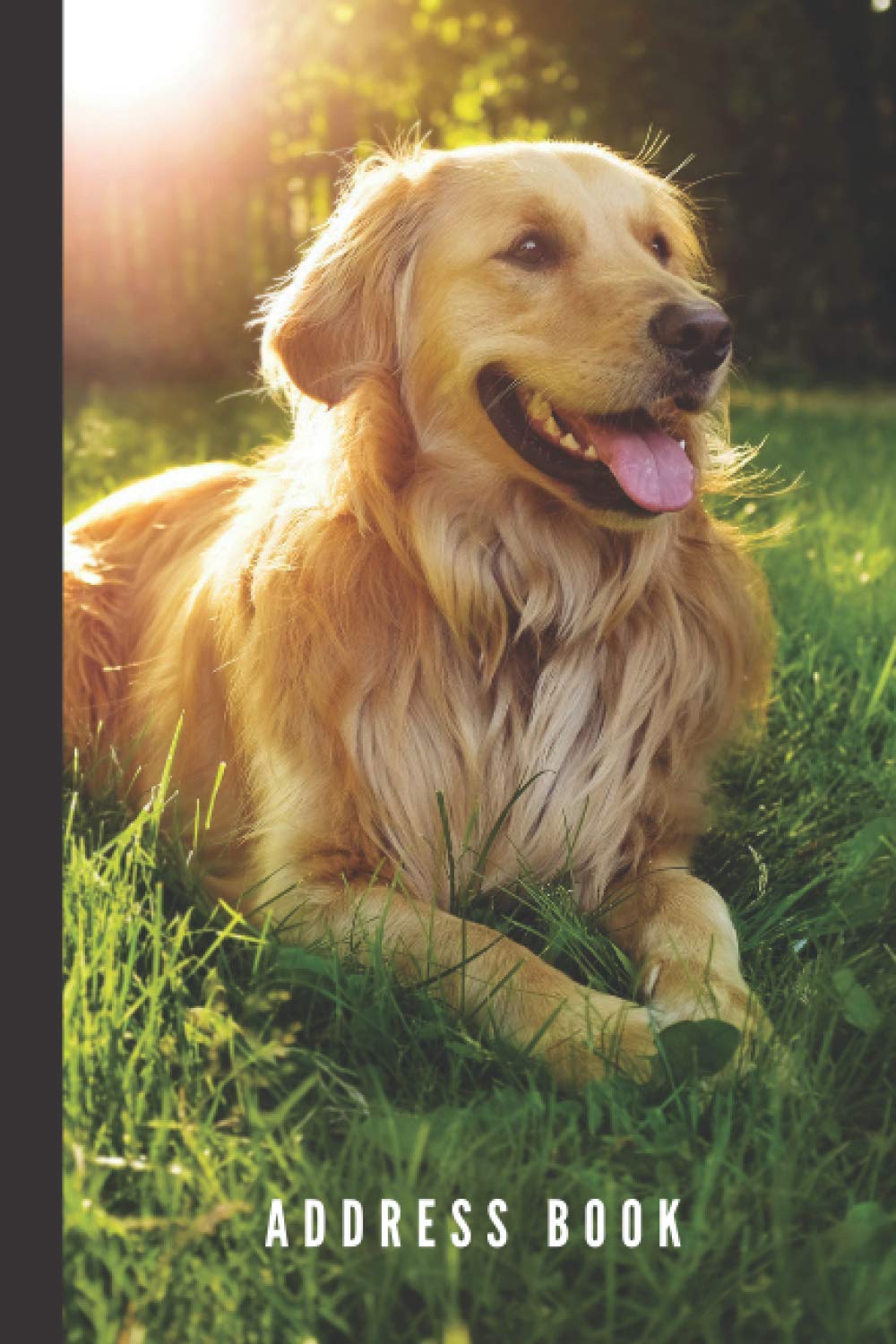 Address Book: Golden Retriever in Green Grass - Dog Lover Photo / Track Names - Telephone Numbers - Emails in Small 6x9 Notebook Organizer / ... Kids - Teen - Adult -Senior Citizen Gift