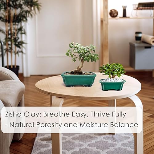 Miniatura 7 de Zisha - Juego de 2 macetas de arcilla blanca para bonsái esmaltadas poco profundas, color verde