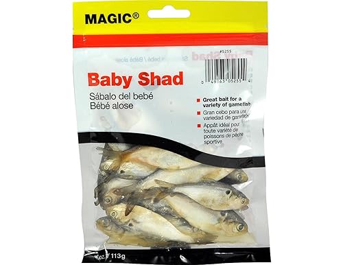 5 Best Shadysrour Preserved Whole Spice Peppercorns