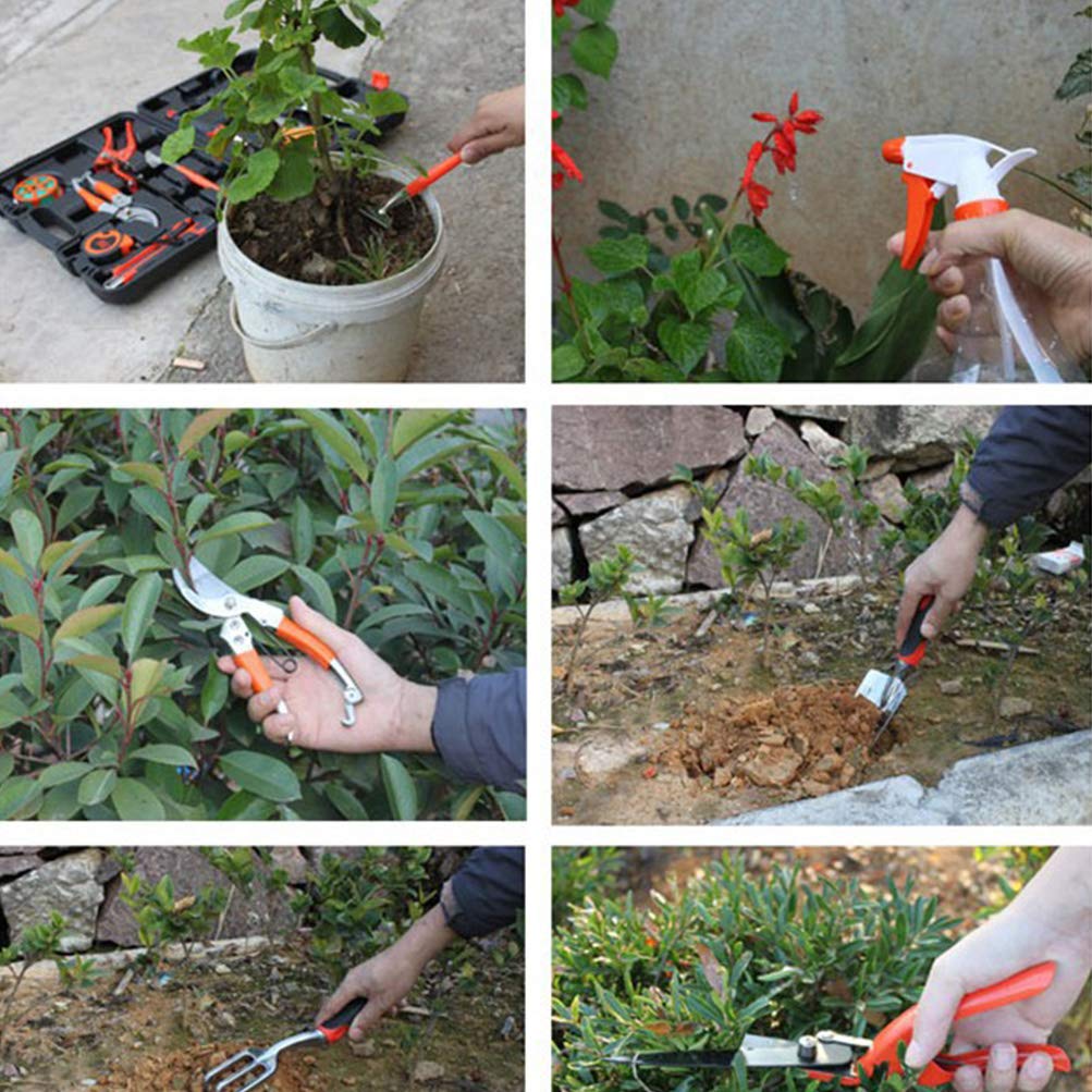 Ensemble d'outils de jardinage 12 pièces, outils de soins botaniques, avec valise, y compris couteau d'élagage, sécateur à la truelle, élagage, râteau de jardin - cadeau de jardinage