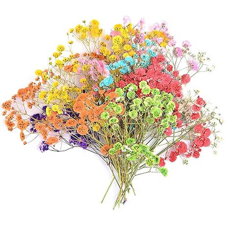 Multicolored Dried Babys Breath Flowers Set (200 Pcs)