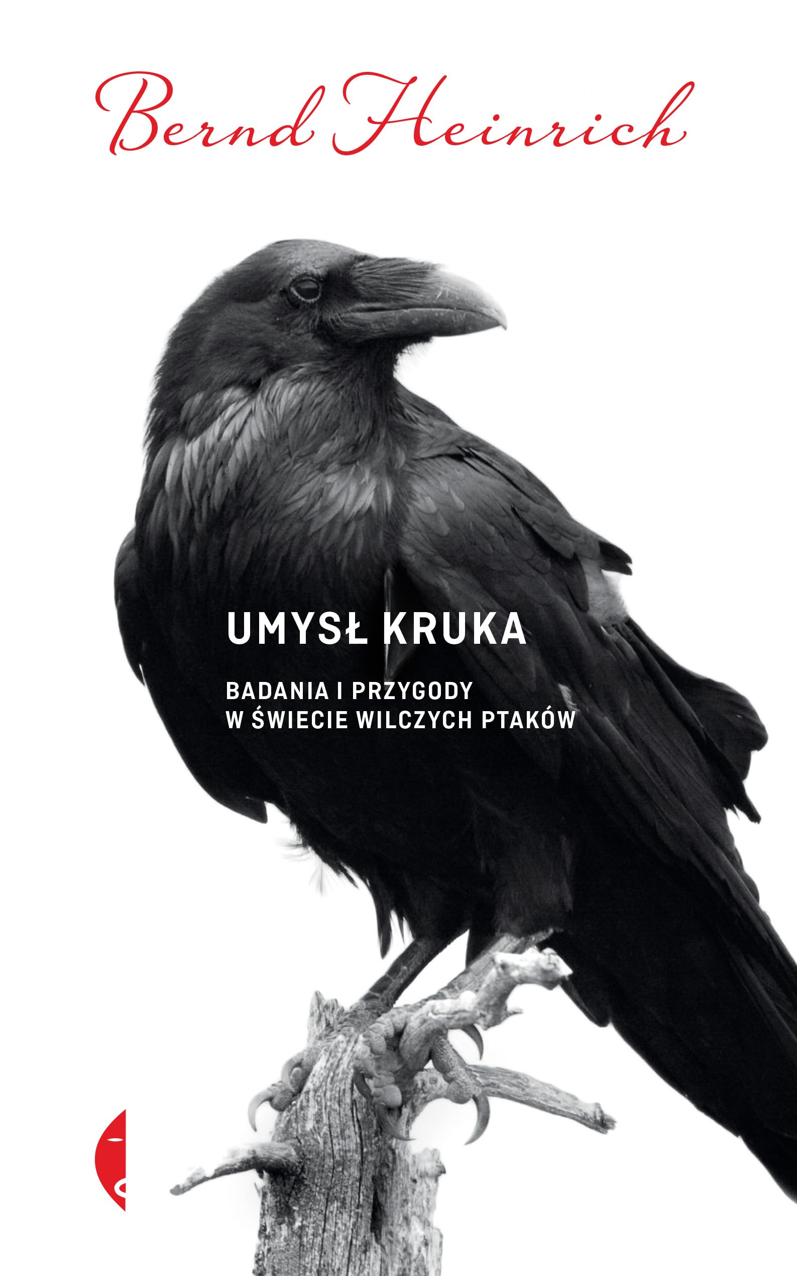 Umysl kruka Badania i przygody w swiecie wilczych ptakow