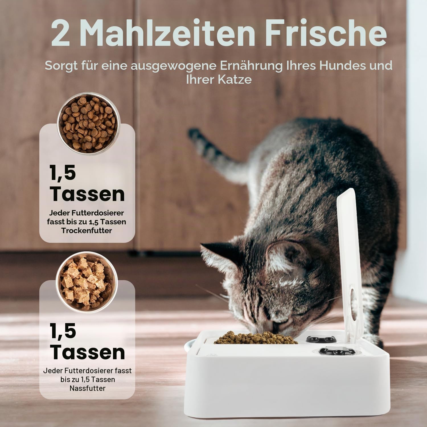 ALL FOR PAWS Automatischer Katzenfutterspender 2 Mahlzeit Hundefutterspender mit Eisbeutel, Für Trocken- und Nassfutter geeignet mit 48-Stunden-Timer, Spülmaschinenfest, (2-Mahlzeiten-Futterspender)