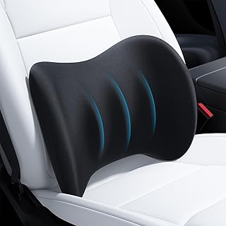 Wigoo Ergonomic Lumbar Support Car Pillow