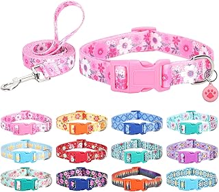 Juego de collar para perro con correa y soporte para Airtag, collares para perros machos, hembras, machos, hembras, cachorros, pequeños, medianos, grandes, perros pequeños, medianos, grandes,