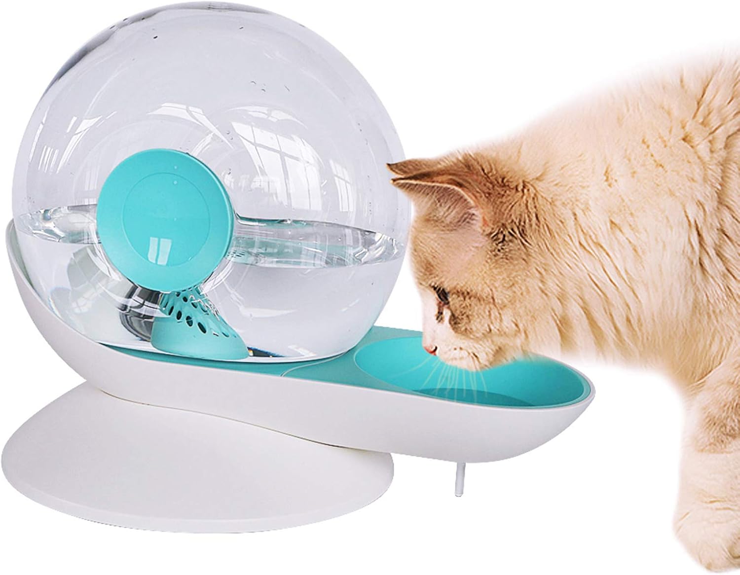 PJDDP Cat Dog Water Dispenser,Cats Gravity Waterer Feeder Bowl,Snail Shape Cats