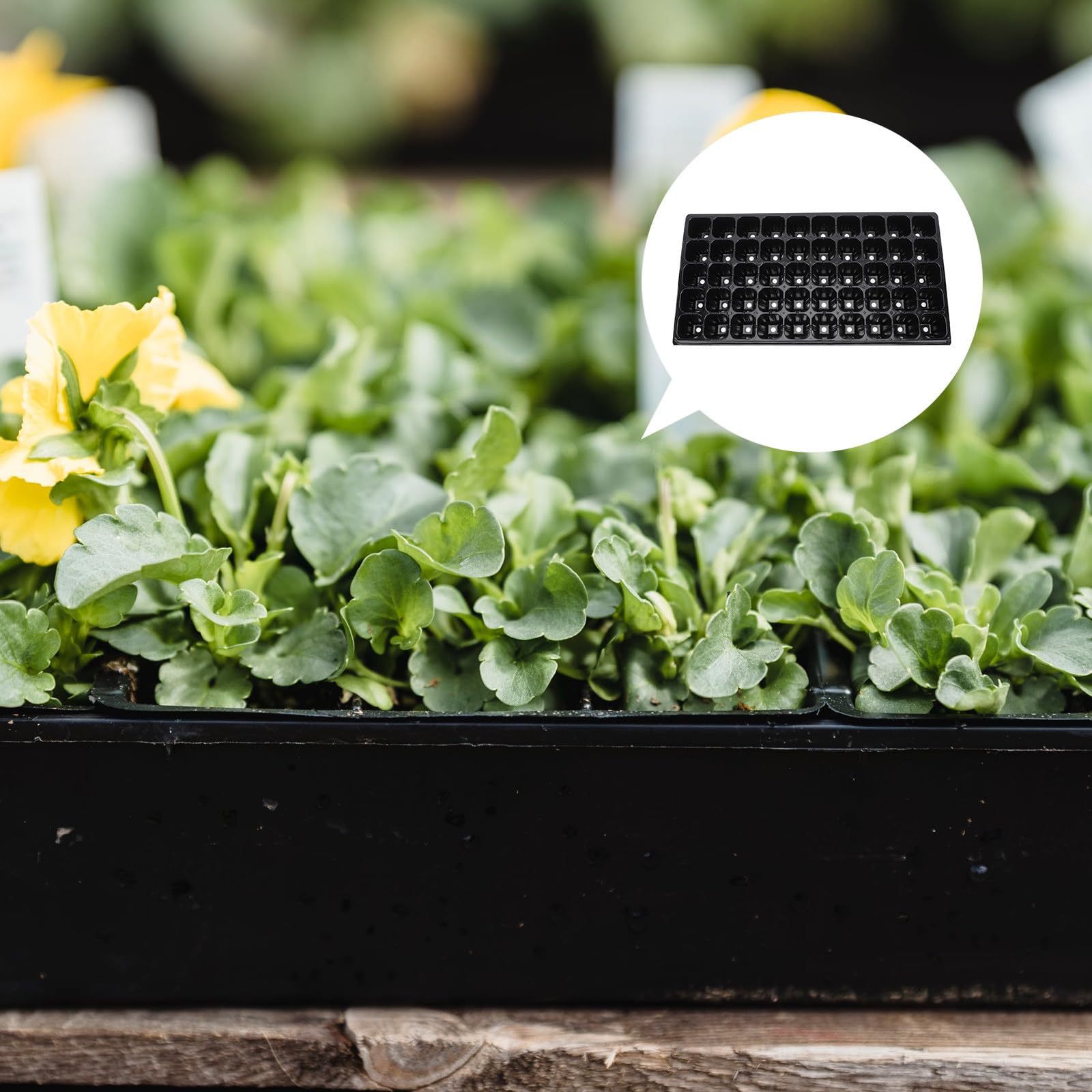 Hemobllo Bandeja de Semillero de 50 Orificios PP Negro 10 Piezas | Jardinería, Diseño Transpirable y Estable, Formato Práctico para Cultivo de Plantas