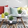 Product Photo 5