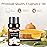 Woody & Herbal Essential Oils Set - TOP 14 Fragrance Oil for Diffusers, Aromatherapy, Candle Making - Sandalwood, Cedarwood, Teakwood, Vetiver Aromatherapy Scented Oils (5ml)