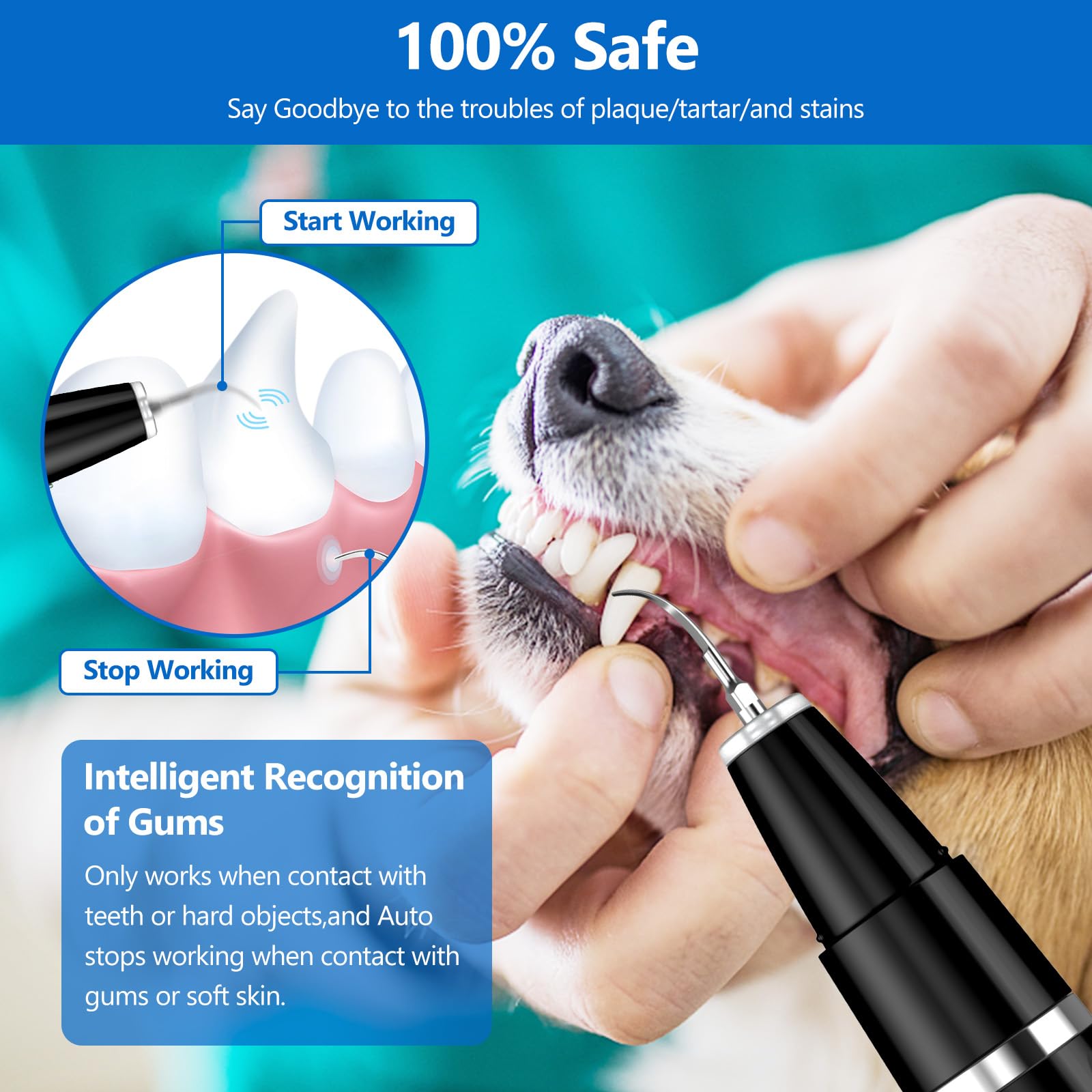Ni-SHEN Kit per la Pulizia dei Denti per Cani
