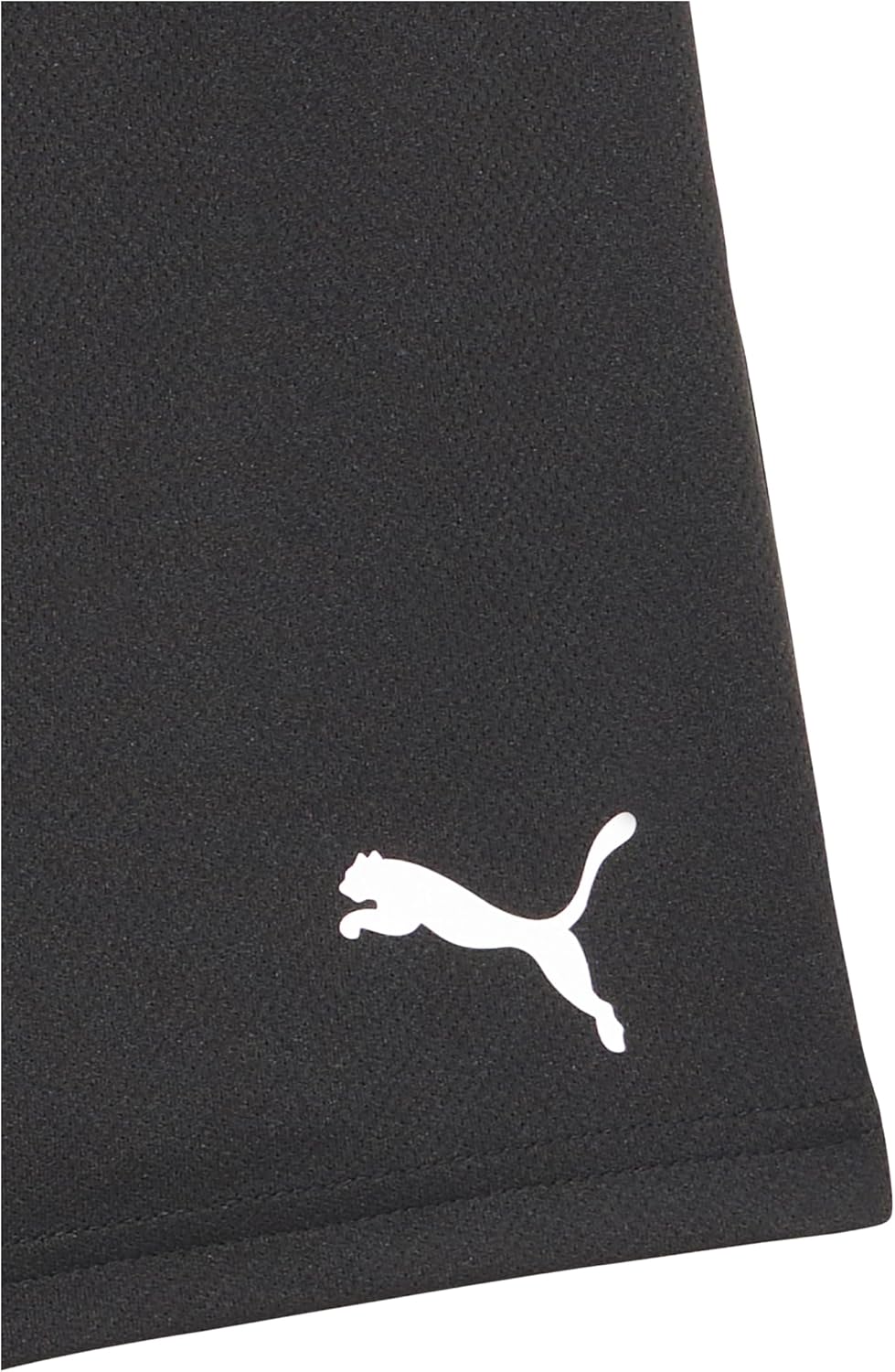 Puma Boys Teamrise 4" Shorts - Image 2