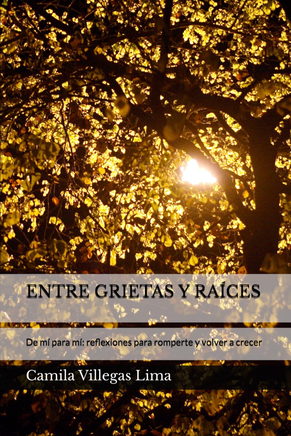 ENTRE GRIETAS Y RAÍCES: De mí para mí: reflexiones para romperte y volver a crecer