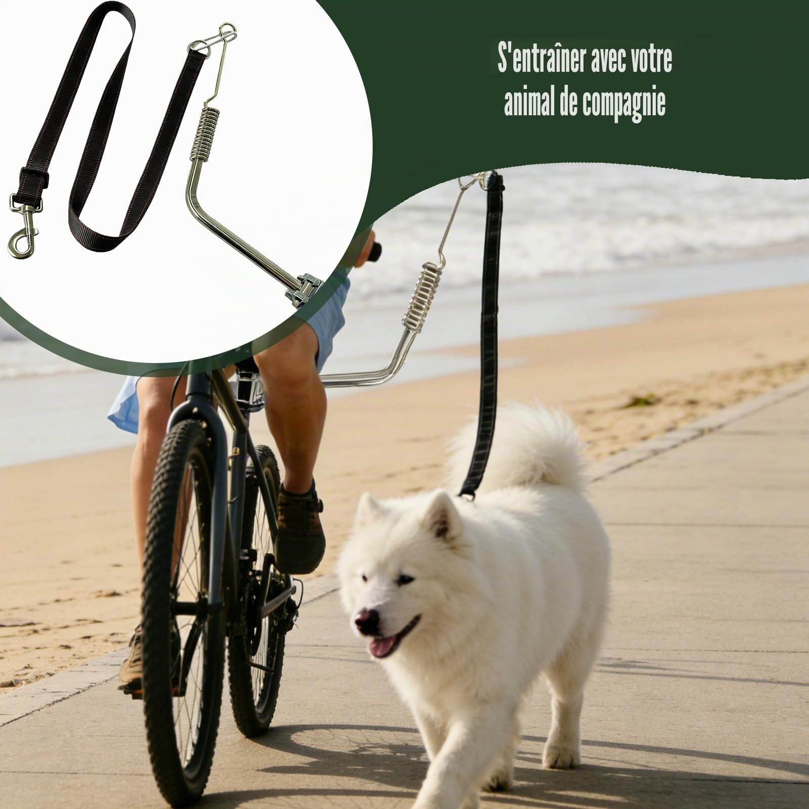 Laisse De Vélo pour Chien: Vélo pour Chien Mains Libres, Installation Et Démontage Facile, Pet Dog Bicycle Leash pour Le Jogging, L'entraînement, Le Cyclisme Et L'extérieur