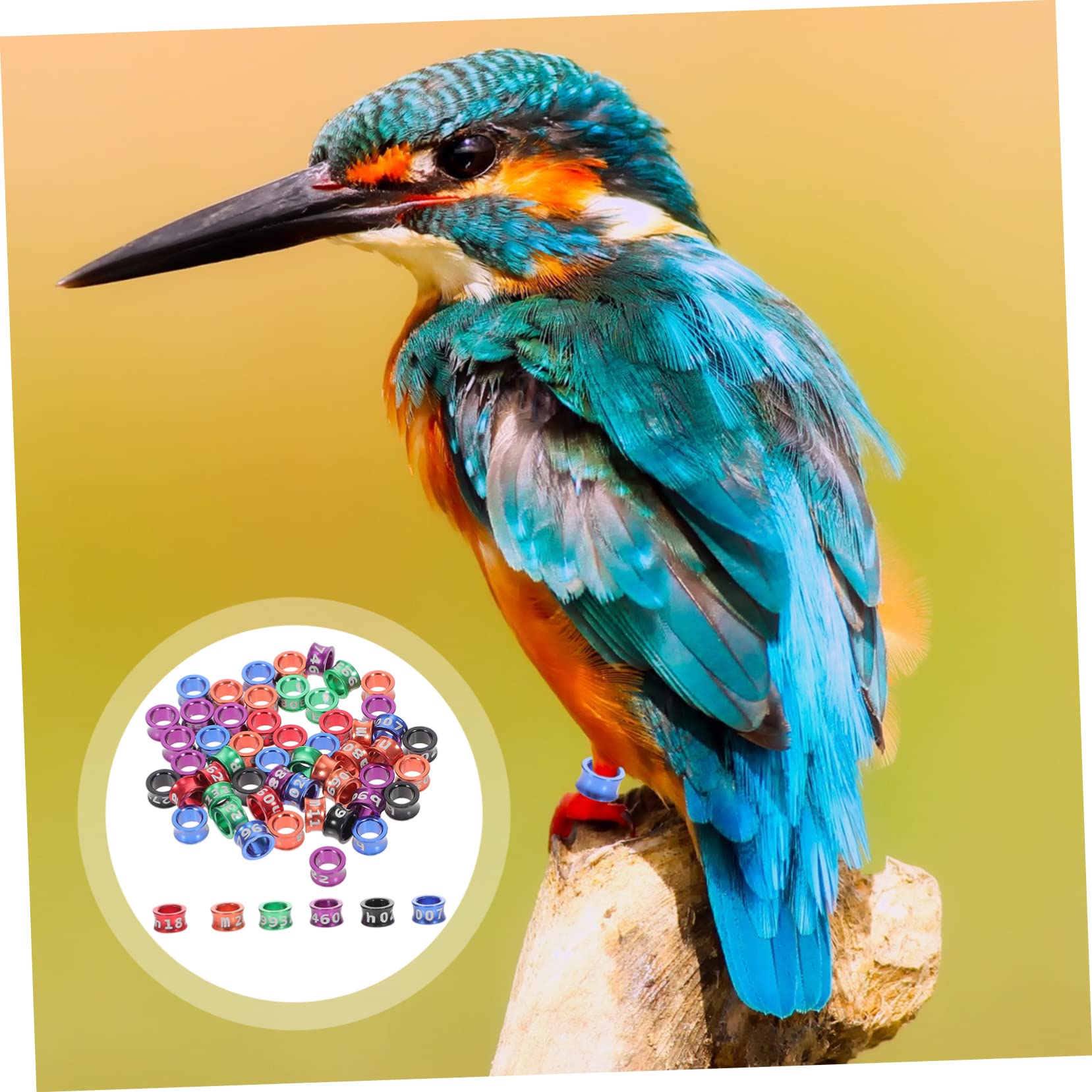150pezzi Anelli per Zampe di Piccione e Pappagallo Anelli Identificativi per Uccelli di Diversi Colori Facili da Usare e Conservare per Pigeons Cockatiels Parakeets