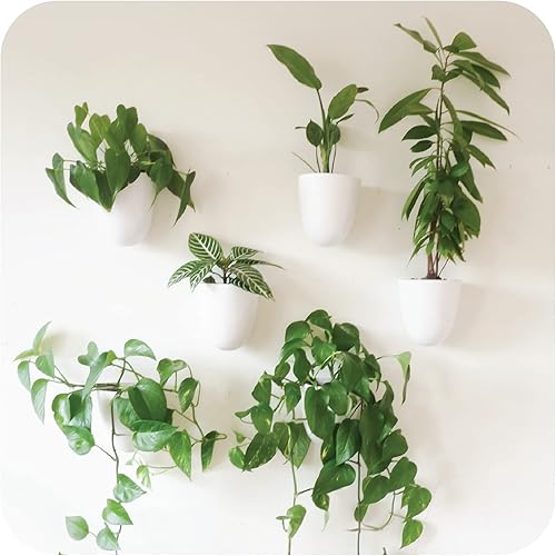 Miniatura 10 de PlantPod Luxe - Macetas de pared con riego automático (juego de 3), fáciles de regar e instalar, ligeras, diseña tu propio jardín vertical, macetas