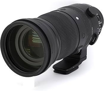 Amazon.com: Sigma 150-600mm F5/-6.3 DG DN for L Mount : Sports