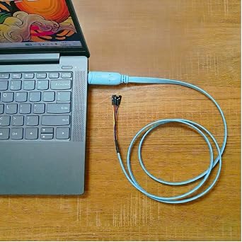 DSD TECH SH-U09BL USB to TTL Serial Cable with CP2102N Chip 1.2M/4FT